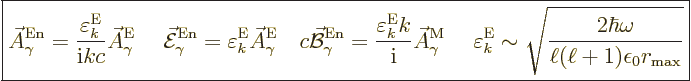 \begin{displaymath}
\fbox{$\displaystyle
\skew3\vec A_\gamma^{\rm En}
= \frac...
...\frac{2\hbar\omega}{\ell(\ell+1)\epsilon_0r_{\rm{max}}}}
$} %
\end{displaymath}