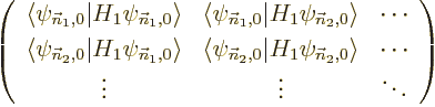 \begin{displaymath}
\left(
\begin{array}{ccc}
\langle\psi_{{\vec n}_1,0}\vert...
... &
\cdots \\
\vdots & \vdots & \ddots
\end{array} \right)
\end{displaymath}