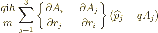 \begin{displaymath}
\frac{q{\rm i}\hbar}{m}
\sum_{j=1}^3
\left\{
\frac{\part...
...c{\partial A_j}{\partial r_i}
\right\}
({\widehat p}_j-qA_j)
\end{displaymath}